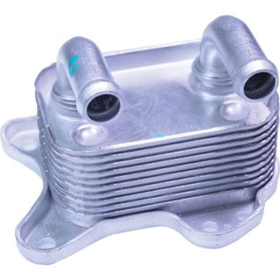 Birth 80137 Oil cooler 80137: Buy near me in Poland at 2407.PL - Good price!