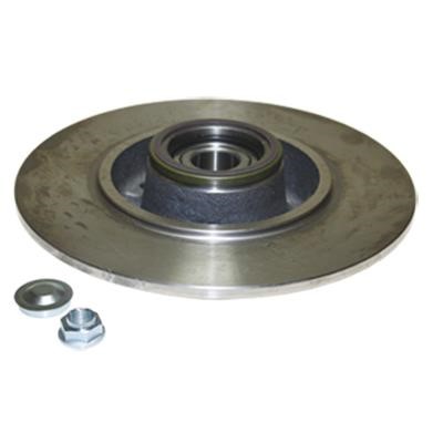Birth 3495 Rear brake disc, non-ventilated 3495: Buy near me in Poland at 2407.PL - Good price!