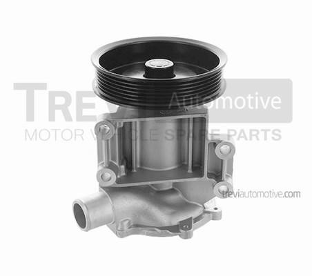 Trevi automotive TP960 Water pump TP960: Buy near me at 2407.PL in Poland at an Affordable price!