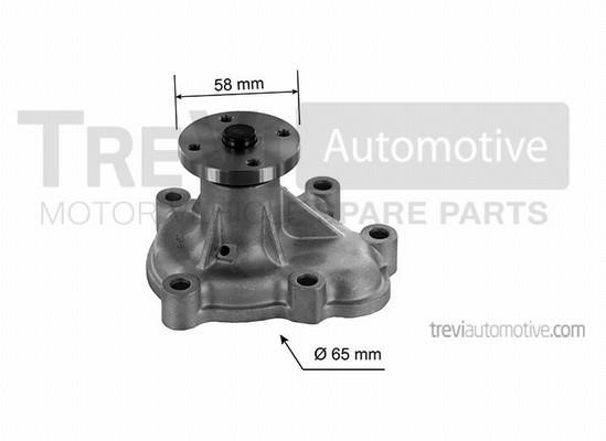 Trevi automotive TP765 Wasserpumpe TP765: Kaufen Sie zu einem guten Preis in Polen bei 2407.PL!