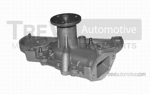 Trevi automotive TP539 Water pump TP539: Buy near me in Poland at 2407.PL - Good price!