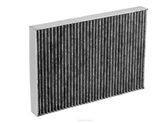 RYCO RCA177C Filter, interior air RCA177C: Buy near me in Poland at 2407.PL - Good price!