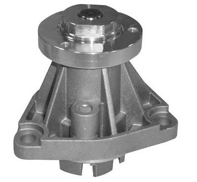Dexwal 01-1021 Water pump 011021: Buy near me in Poland at 2407.PL - Good price!