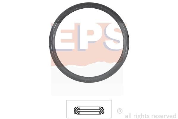 1890731 Eps Dichtung Thermostat