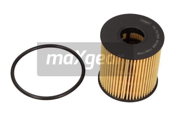 Maxgear 26-0193 Oil Filter 260193: Buy near me at 2407.PL in Poland at an Affordable price!
