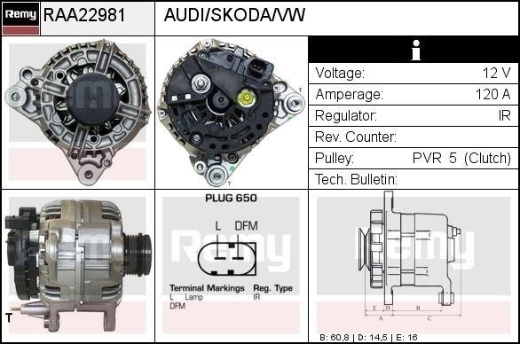 Remy RAA22981 Alternator RAA22981: Dobra cena w Polsce na 2407.PL - Kup Teraz!