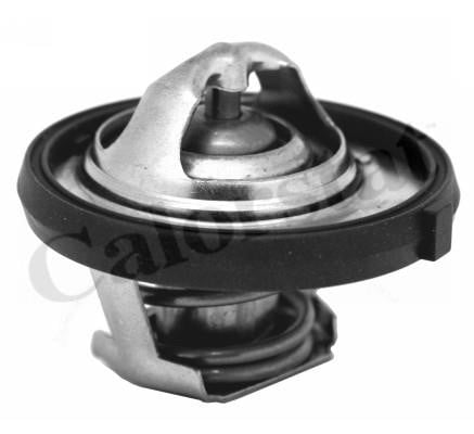 Vernet TH7311.95J Thermostat, coolant TH731195J: Buy near me in Poland at 2407.PL - Good price!