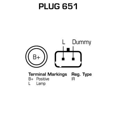 Remy RAA15185 Alternator RAA15185: Dobra cena w Polsce na 2407.PL - Kup Teraz!