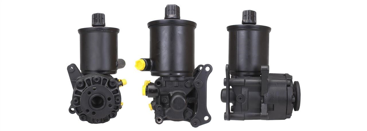 Elstock 15-0813 Hydraulic Pump, steering system 150813: Buy near me at 2407.PL in Poland at an Affordable price!