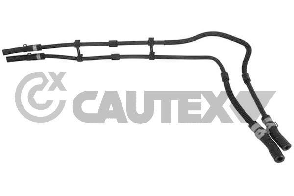 Cautex 754398 Radiator hose 754398: Buy near me in Poland at 2407.PL - Good price!