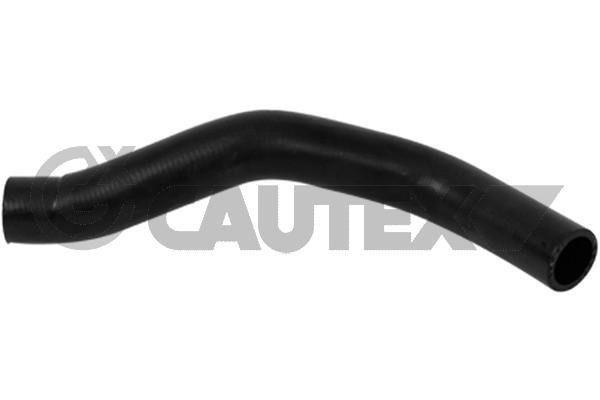 Cautex 754254 Radiator hose 754254: Buy near me at 2407.PL in Poland at an Affordable price!