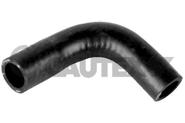 Cautex 771661 Radiator hose 771661: Buy near me at 2407.PL in Poland at an Affordable price!