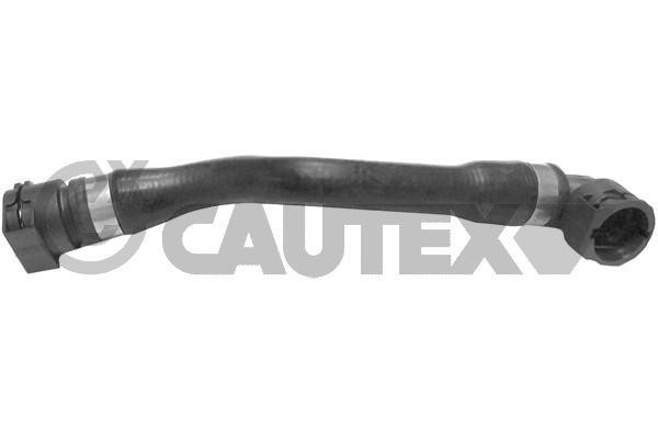 Cautex 754311 Radiator hose 754311: Buy near me in Poland at 2407.PL - Good price!