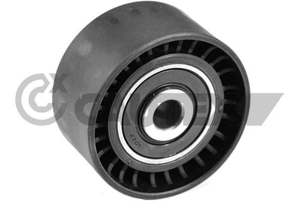 Cautex 754859 Idler Pulley 754859: Buy near me in Poland at 2407.PL - Good price!