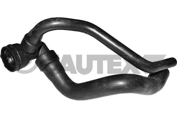 Cautex 771629 Radiator hose 771629: Buy near me in Poland at 2407.PL - Good price!