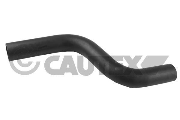 Cautex 769934 Radiator hose 769934: Buy near me in Poland at 2407.PL - Good price!