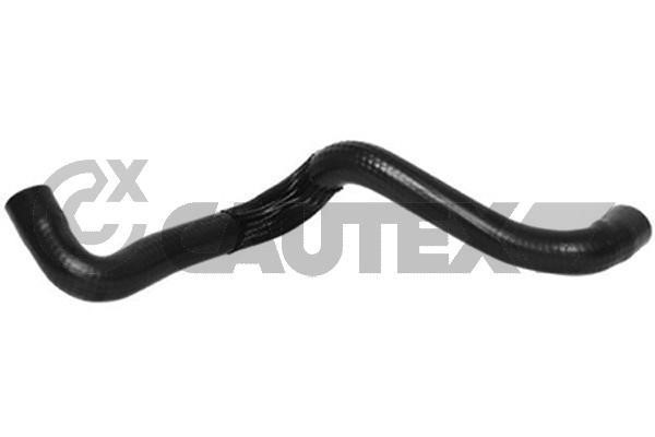 Cautex 753389 Radiator hose 753389: Buy near me at 2407.PL in Poland at an Affordable price!