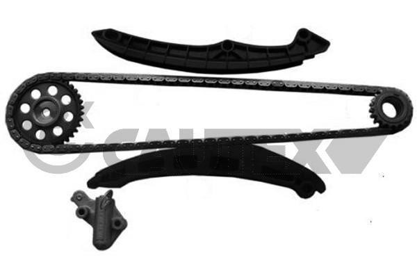 Cautex 752077 Timing chain kit 752077: Buy near me in Poland at 2407.PL - Good price!