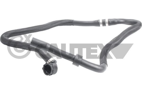 Cautex 765522 Radiator hose 765522: Buy near me in Poland at 2407.PL - Good price!