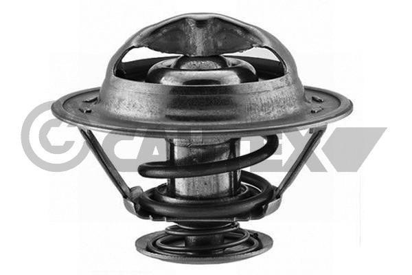 Cautex 756899 Thermostat, coolant 756899: Buy near me in Poland at 2407.PL - Good price!