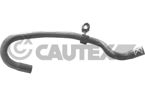Cautex 765623 Radiator hose 765623: Buy near me in Poland at 2407.PL - Good price!