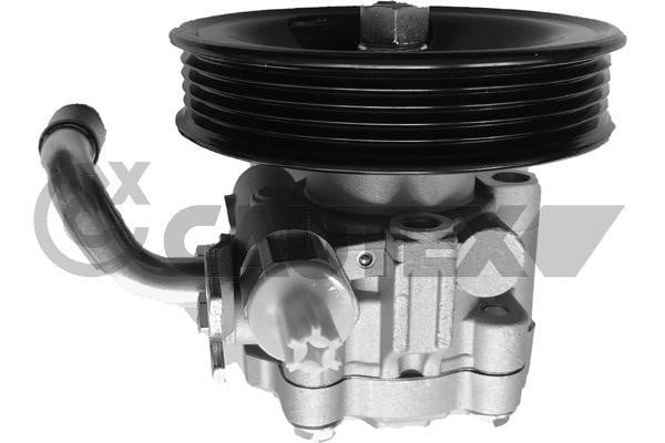 Cautex 768307 Hydraulic Pump, steering system 768307: Buy near me in Poland at 2407.PL - Good price!