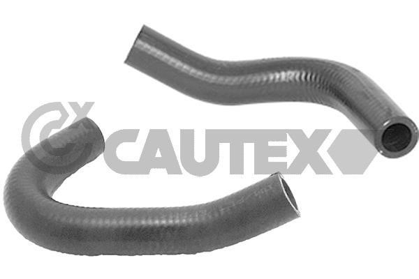 Cautex 771037 Radiator hose 771037: Buy near me at 2407.PL in Poland at an Affordable price!