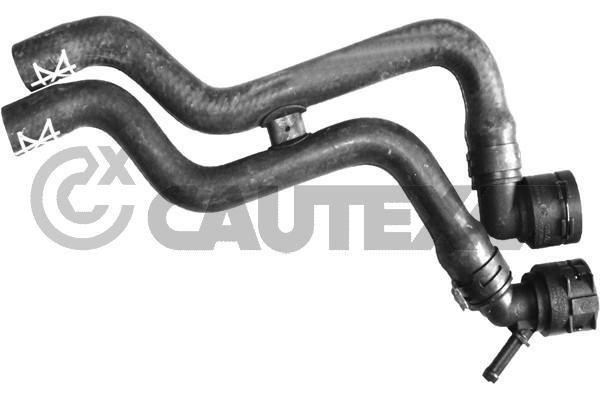 Cautex 765622 Radiator hose 765622: Buy near me in Poland at 2407.PL - Good price!