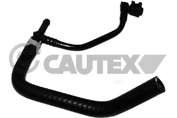 Cautex 765089 Radiator hose 765089: Buy near me in Poland at 2407.PL - Good price!