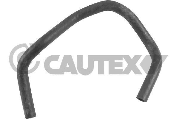 Cautex 769925 Radiator hose 769925: Buy near me in Poland at 2407.PL - Good price!