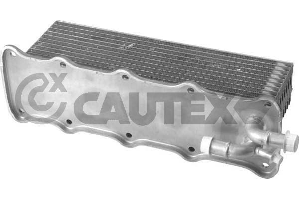 Cautex 760765 Intercooler, charger 760765: Buy near me in Poland at 2407.PL - Good price!