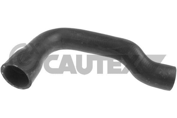 Cautex 765442 Radiator hose 765442: Buy near me at 2407.PL in Poland at an Affordable price!