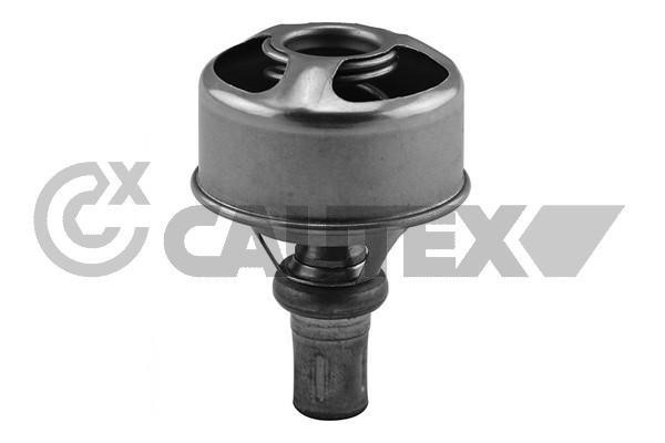 Cautex 756905 Thermostat, coolant 756905: Buy near me in Poland at 2407.PL - Good price!