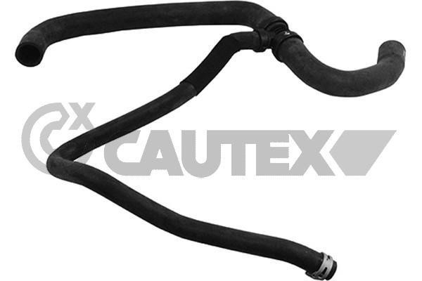 Cautex 753862 Radiator hose 753862: Buy near me at 2407.PL in Poland at an Affordable price!