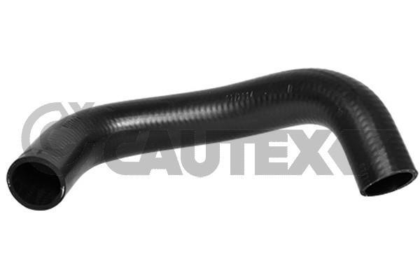 Cautex 754181 Radiator hose 754181: Buy near me in Poland at 2407.PL - Good price!