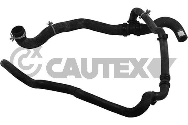 Cautex 753858 Radiator hose 753858: Buy near me in Poland at 2407.PL - Good price!