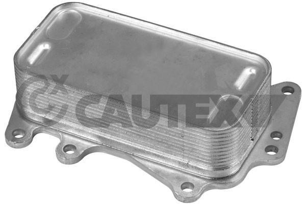 Cautex 769279 Oil Cooler, engine oil 769279: Buy near me in Poland at 2407.PL - Good price!