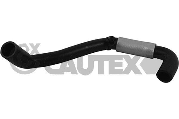 Cautex 764835 Hose, cylinder head cover breather 764835: Buy near me in Poland at 2407.PL - Good price!