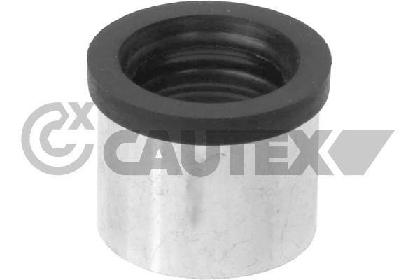 Cautex 767526 Hose, cylinder head cover breather 767526: Buy near me in Poland at 2407.PL - Good price!