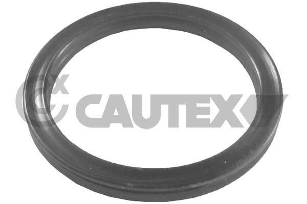 Cautex 751987 Seal, coolant tube 751987: Buy near me at 2407.PL in Poland at an Affordable price!