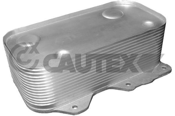 Cautex 751727 Oil Cooler, engine oil 751727: Buy near me in Poland at 2407.PL - Good price!