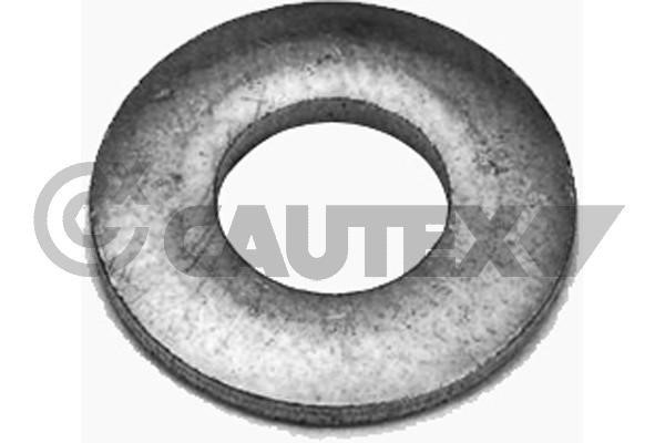 Cautex 769266 Seal Ring, injector 769266: Buy near me in Poland at 2407.PL - Good price!