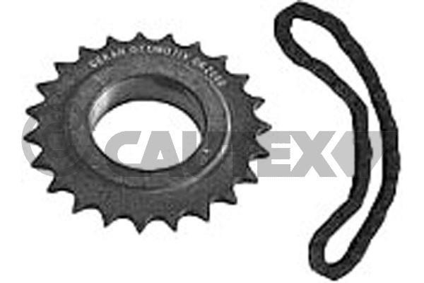 Cautex 771166 Timing chain kit 771166: Buy near me in Poland at 2407.PL - Good price!