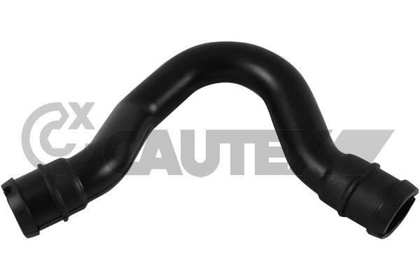 Cautex 753123 Hose, cylinder head cover breather 753123: Buy near me in Poland at 2407.PL - Good price!