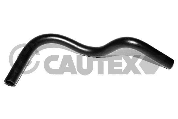 Cautex 753119 Pipe, EGR valve 753119: Buy near me in Poland at 2407.PL - Good price!