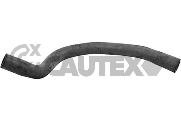 Cautex 764981 Hose, cylinder head cover breather 764981: Buy near me in Poland at 2407.PL - Good price!