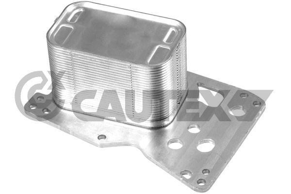 Cautex 769475 Oil Cooler, engine oil 769475: Buy near me at 2407.PL in Poland at an Affordable price!