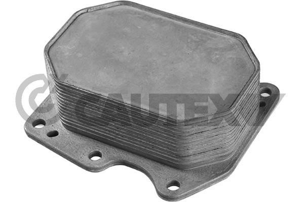 Cautex 751779 Oil Cooler, engine oil 751779: Buy near me in Poland at 2407.PL - Good price!