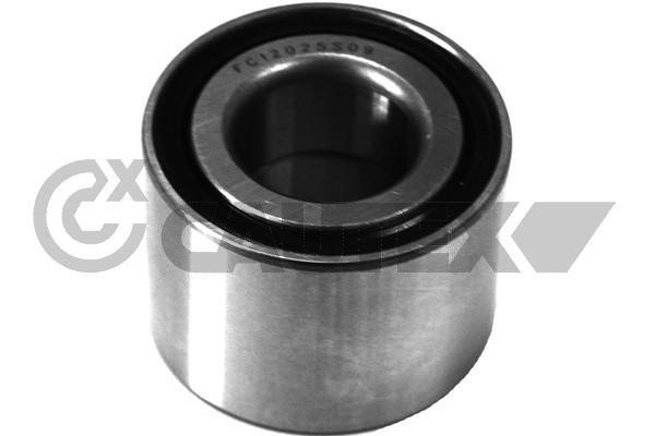 Cautex 754768 Wheel hub bearing 754768: Buy near me in Poland at 2407.PL - Good price!