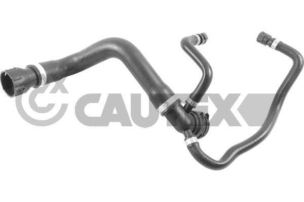 Cautex 765409 Radiator hose 765409: Buy near me in Poland at 2407.PL - Good price!